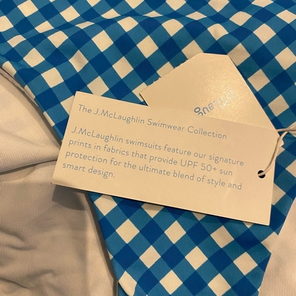 J. McLaughlin Bikini Bottom NWT Size Large Checkered Gingham Print Blue White - Picture 9 of 11